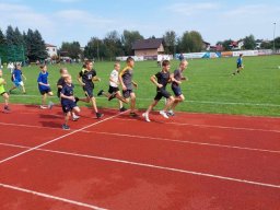 4611488089908817928397698626922592312362952n